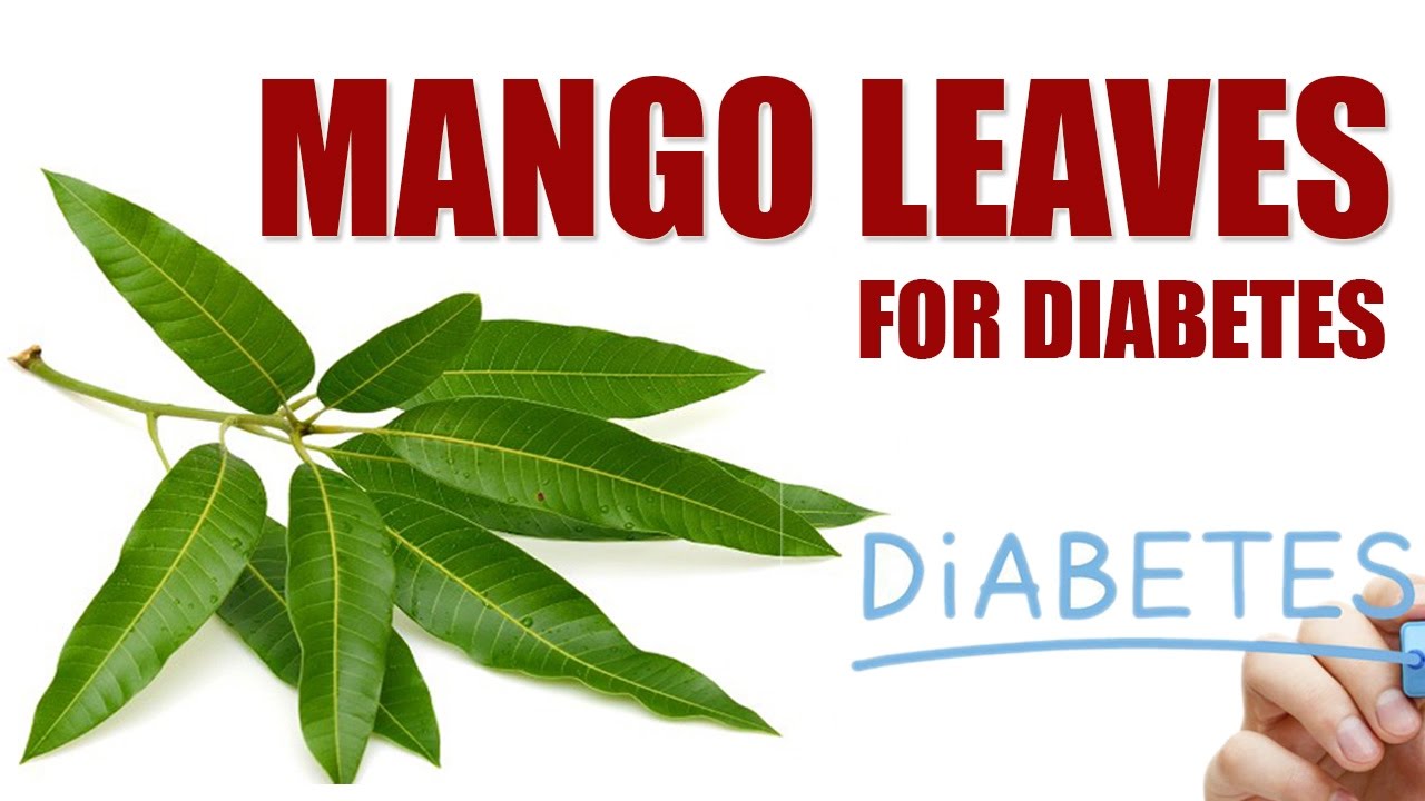 Health Benefits of Mango Leaves